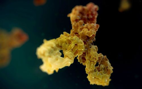 GA黄金甲(中国游)最新官方网站