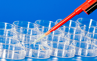 GA黄金甲(中国游)最新官方网站