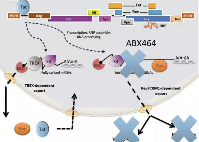 GA黄金甲(中国游)最新官方网站