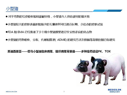 皮肤涂抹试验中，，，受试动物选择小型猪更好