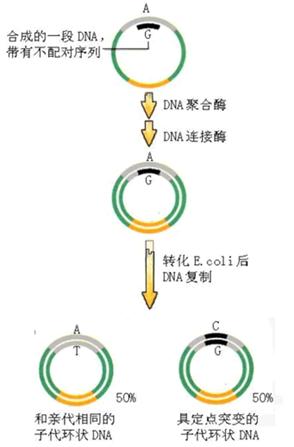 GA黄金甲(中国游)最新官方网站