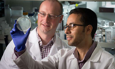 GA黄金甲(中国游)最新官方网站