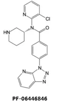 GA黄金甲(中国游)最新官方网站