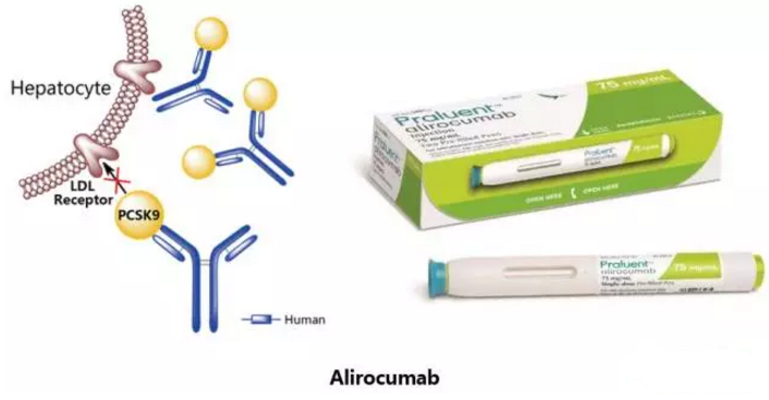 GA黄金甲(中国游)最新官方网站