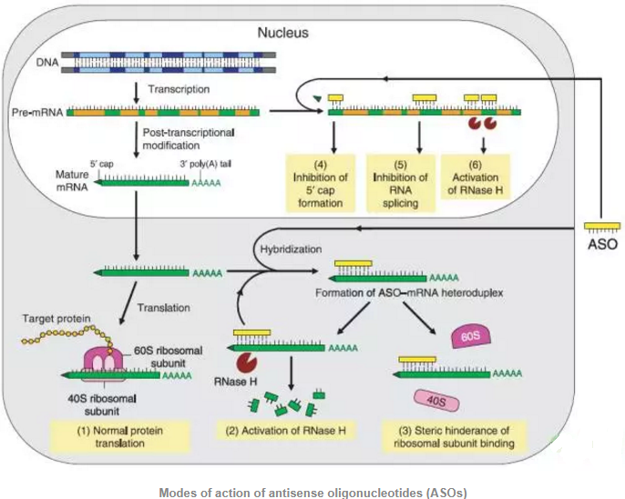 GA黄金甲(中国游)最新官方网站