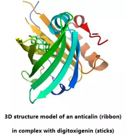 GA黄金甲(中国游)最新官方网站