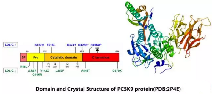 GA黄金甲(中国游)最新官方网站