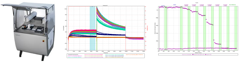 GA黄金甲(中国游)最新官方网站