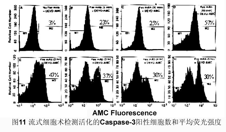 GA黄金甲(中国游)最新官方网站