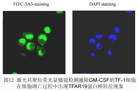 GA黄金甲(中国游)最新官方网站