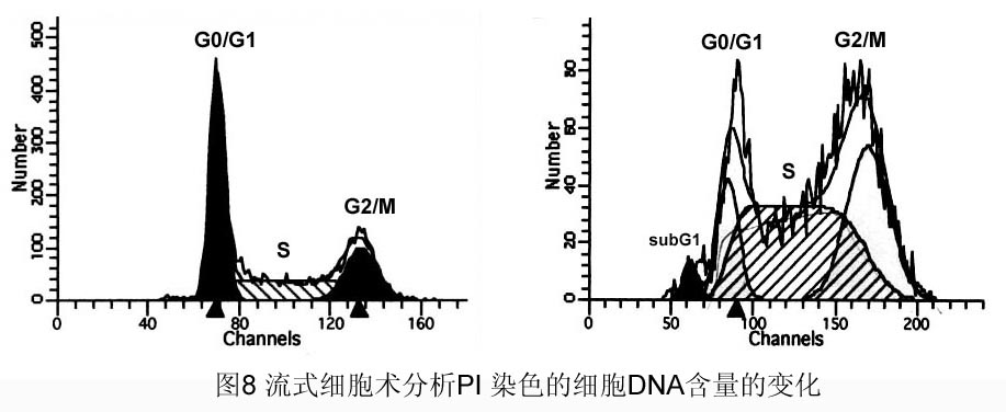 GA黄金甲(中国游)最新官方网站