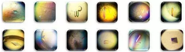 GA黄金甲(中国游)最新官方网站