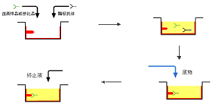 GA黄金甲(中国游)最新官方网站