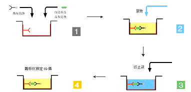 GA黄金甲(中国游)最新官方网站