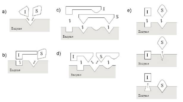 GA黄金甲(中国游)最新官方网站