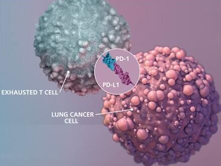 GA黄金甲(中国游)最新官方网站