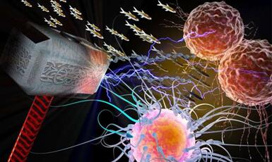 GA黄金甲(中国游)最新官方网站
