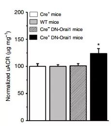 GA黄金甲(中国游)最新官方网站