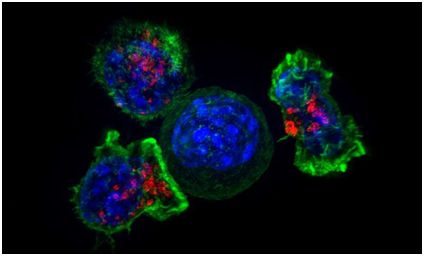 GA黄金甲(中国游)最新官方网站
