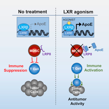 GA黄金甲(中国游)最新官方网站