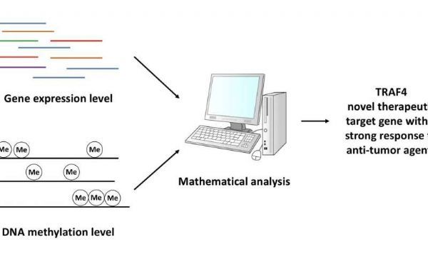 GA黄金甲(中国游)最新官方网站