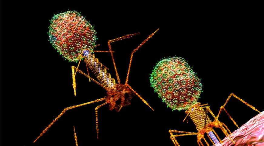 GA黄金甲(中国游)最新官方网站