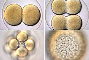 GA黄金甲(中国游)最新官方网站