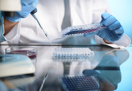 289目录海内特有品种一致性评价抱团才有戏？？？？？