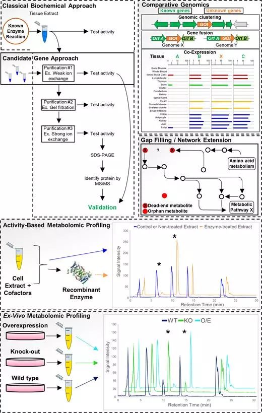 GA黄金甲(中国游)最新官方网站