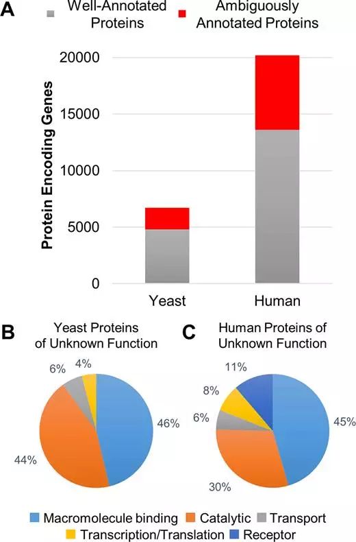 GA黄金甲(中国游)最新官方网站