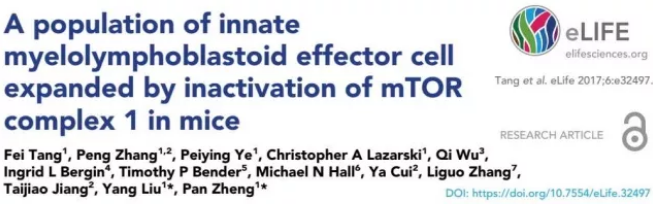 GA黄金甲(中国游)最新官方网站