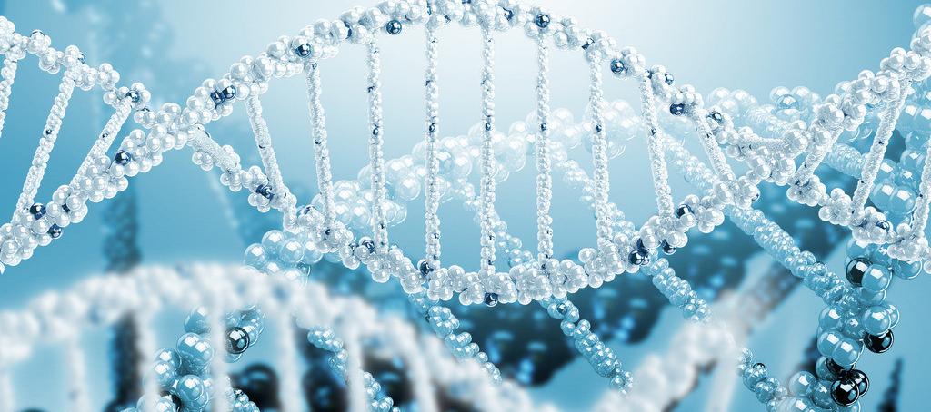 浅谈GA黄金甲抗体药物PK剖析要领学设计的思量要点