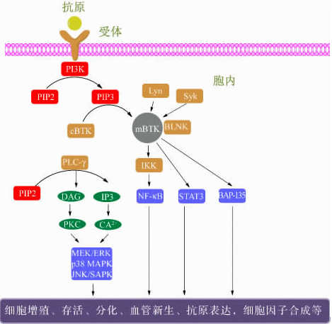 GA黄金甲(中国游)最新官方网站