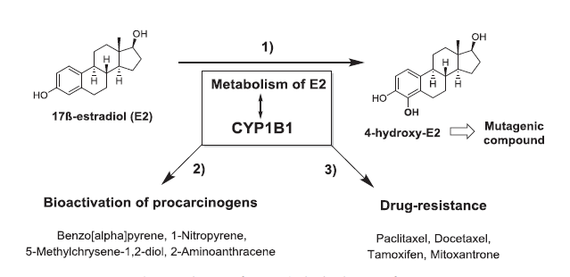GA黄金甲(中国游)最新官方网站