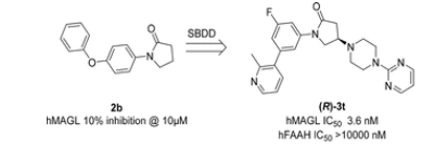 GA黄金甲(中国游)最新官方网站