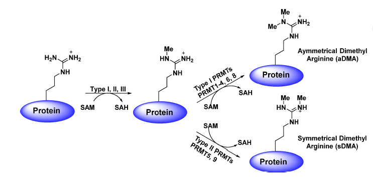 GA黄金甲(中国游)最新官方网站
