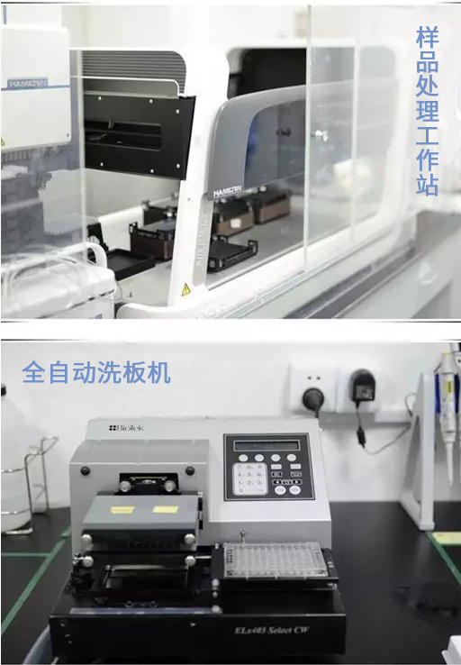 GA黄金甲(中国游)最新官方网站
