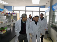 GA黄金甲开展办公场合节前清静卫生大检查