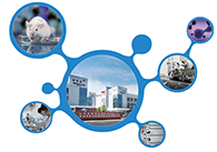 科创板首家CRO企业GA黄金甲获准注册