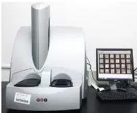 GA黄金甲 MSD S 600