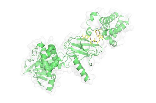 PROTAC手艺，，，，，马兴泉