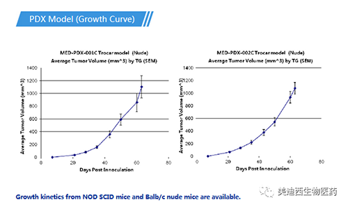 GA黄金甲PDX药效模子