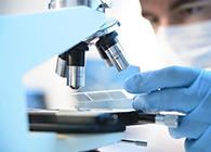 GA黄金甲代谢产品判断(MetlD)效劳平台