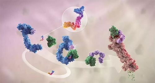 LYTAC出生，，，，，，，与PROTAC并肩作战针对不可成药的靶点