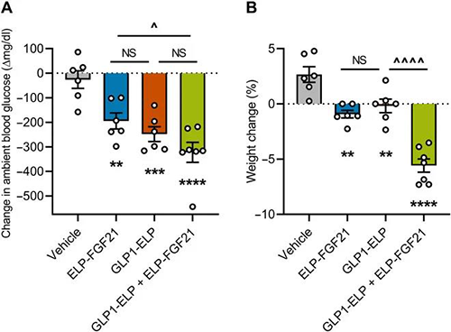 GLP-1和FGF21配合治疗增强了单药治疗的血糖降低和体重增添抑制作用 GA黄金甲
