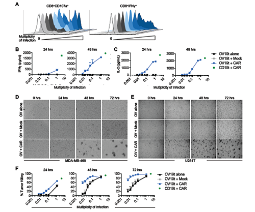 GA黄金甲(中国游)最新官方网站