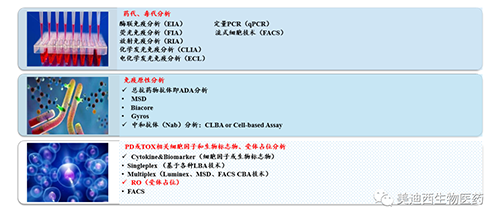GA黄金甲生物手艺药物剖析部效劳内容