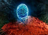 Nature：BATF3改善T细胞影象应答，，，，有望改善免疫疗法的疗效