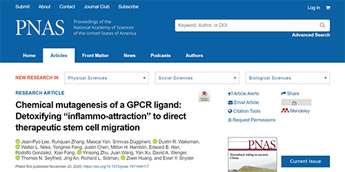 天下首创：药物将干细胞指导至受损部位，，，，，提高其愈合能力！