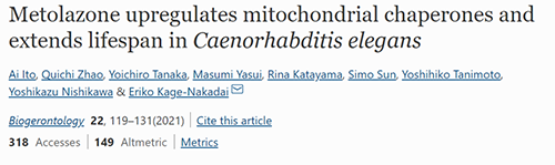 来自日本大阪市立大学的科学家搜索了现有药物的化学“文库”，，，，他们发明一种名为美托拉宗的抗高血压药可延伸秀丽隐杆线虫的寿命，，，，标记着抗朽迈药物开发的第一步